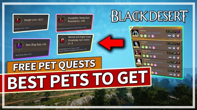 Best Pets to Get & How to get them for FREE in Black Desert