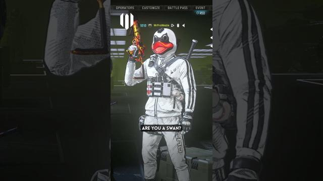 This Warzone Skin is hilarious!