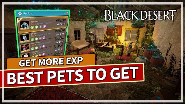 Important & Useful Pets to get and Upgrade in Black Desert