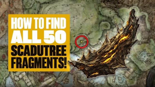 All 50 Scadutree Fragment Locations In Elden Ring: Shadow Of The Erdtree - AKA HOW TO GUIDE GUD!