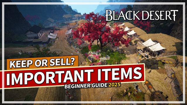 Important Items to Keep or Sell and Why? Beginners Guide 2025 | Black Desert