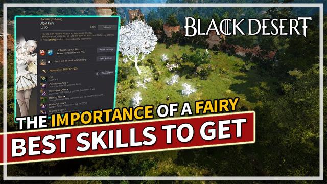 The Importance of a Fairy & Important Skills to Get | Black Desert