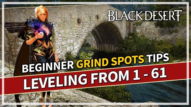 Beginner Spots to SOLO Level Up From 1-61+ EXP | Black Desert