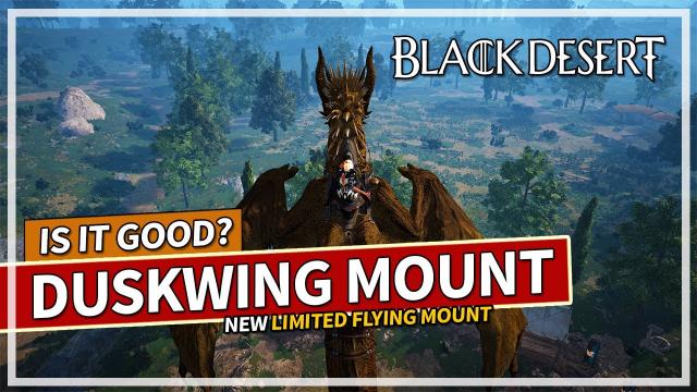 NEW Duskwing Flying Mount - Is it good? | Black Desert